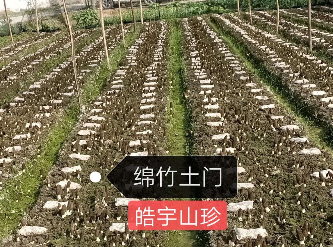 &#24320;&#20803;&#32593;&#31449;&#30331;&#24405;&#20837;&#21475;&#95;&#24320;&#20803;&#65288;&#20013;&#22269;&#65289;